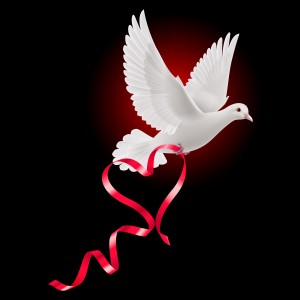 Picture of Dove with Red Ribbon forming a heart to illustrate Wedding Dove Release